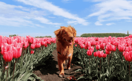 Draining the Swamp, Not Chasing the Mosquitoes