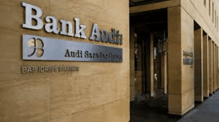 Inside the Bank Audi Play: How Public Money Became Private Profit